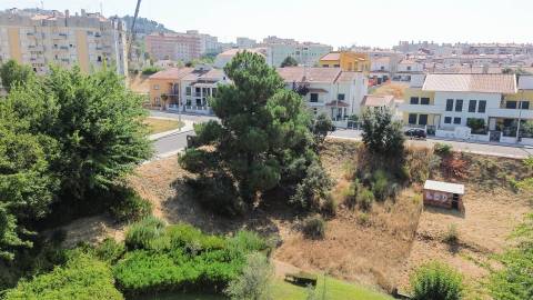 Lote de Terreno  Venda em Castelo Branco,Castelo Branco