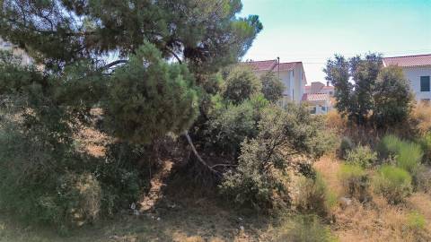 Lote de Terreno  Venda em Castelo Branco,Castelo Branco