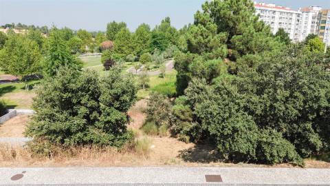 Lote de Terreno  Venda em Castelo Branco,Castelo Branco