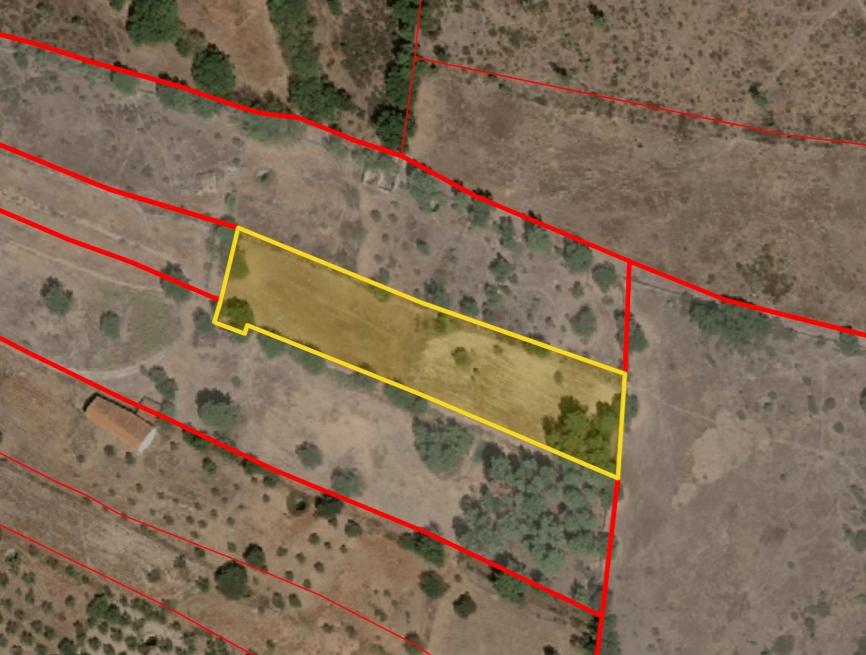 Quinta com área de 3250m2 e Construção Rural com 36m2 – a 10 minutos de Castelo Branco