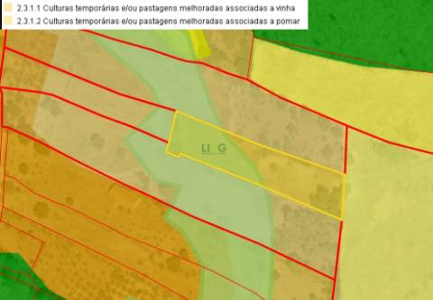 Quinta com área de 3250m2 e Construção Rural com 36m2 – a 10 minutos de Castelo Branco