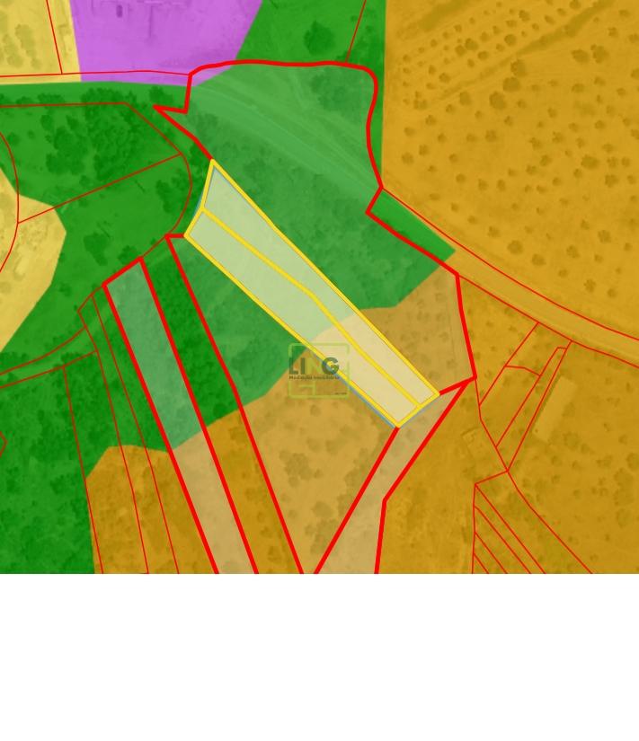 Terreno Rústico no Sobral do Campo 2080m2 – Oportunidade Única!