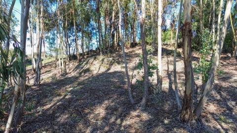 Terreno 1.3 Ha com Poço em Aranhas, Penamacor | €24.900