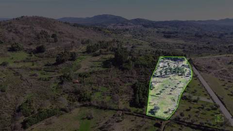 Terreno 1.3 Ha com Poço em Aranhas, Penamacor | €24.900