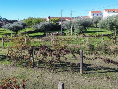 Terreno misto em Aldeia de João Pires