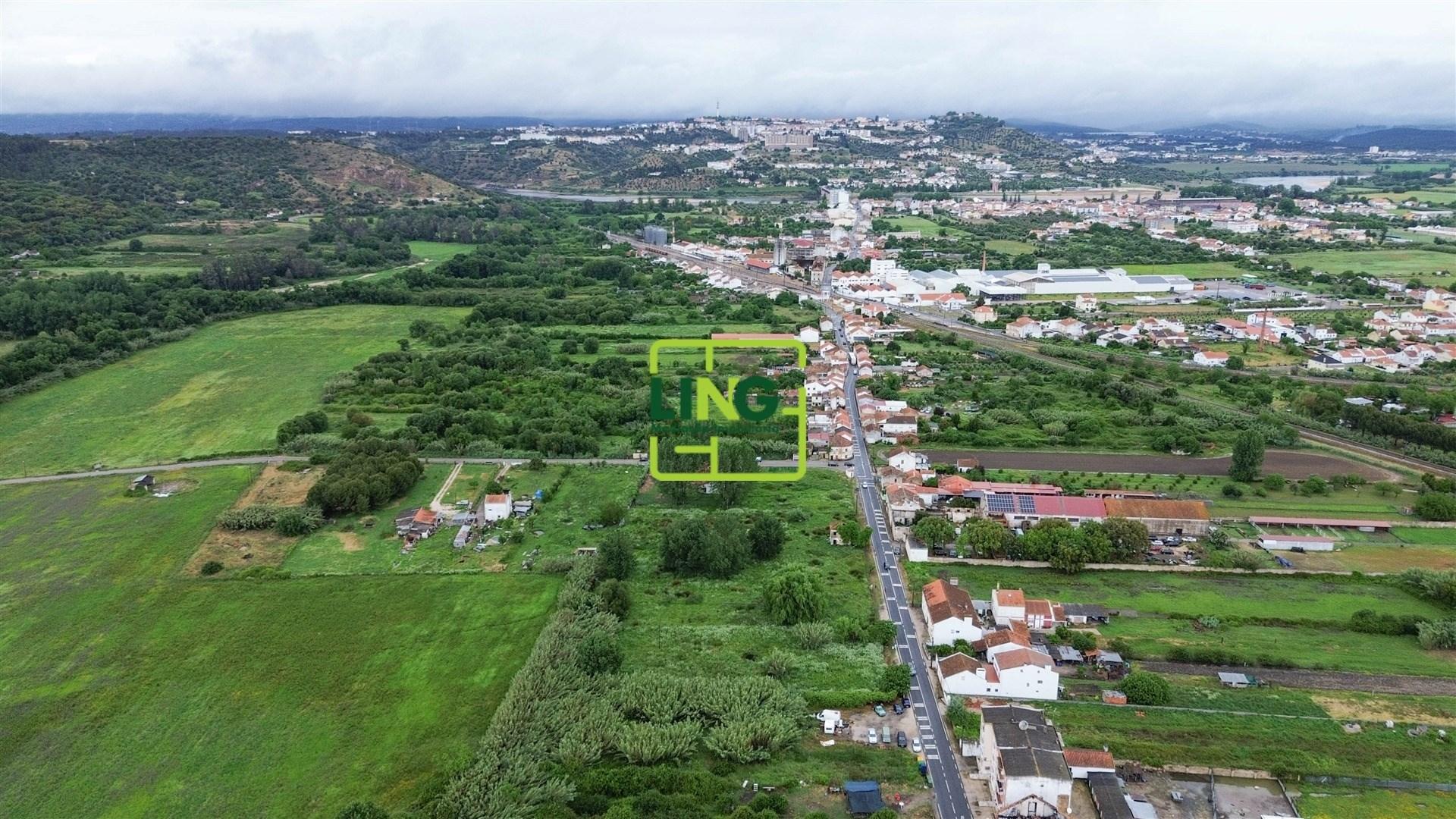 Terreno Rústico  Venda em São Miguel do Rio Torto e Rossio ao Sul do Tejo,Abrantes