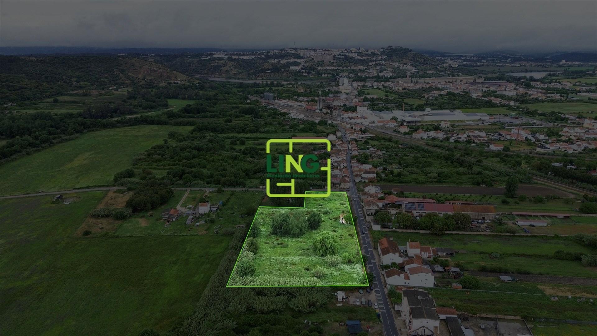 Terreno Rústico  Venda em São Miguel do Rio Torto e Rossio ao Sul do Tejo,Abrantes
