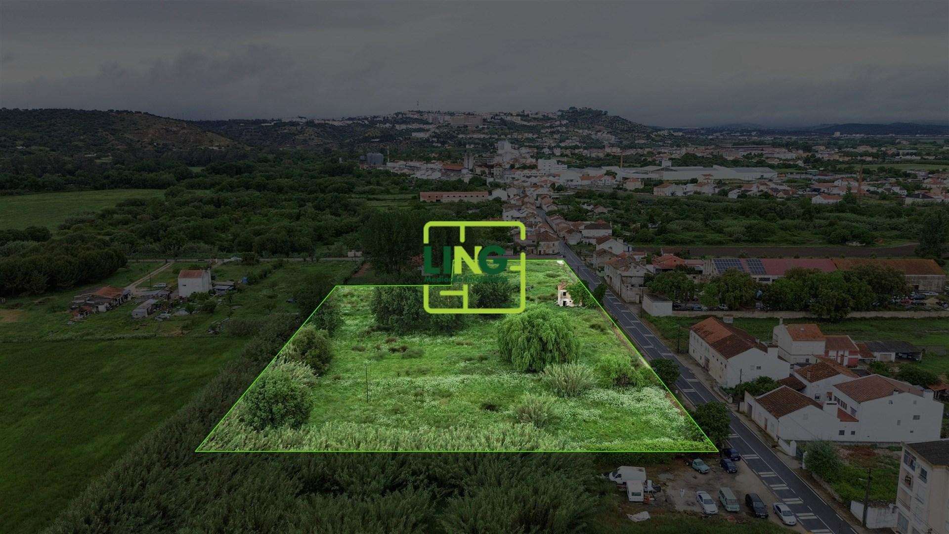 Terreno Rústico  Venda em São Miguel do Rio Torto e Rossio ao Sul do Tejo,Abrantes
