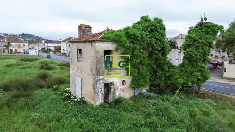 Terreno Rústico  Venda em São Miguel do Rio Torto e Rossio ao Sul do Tejo,Abrantes