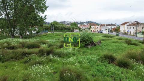 Terreno Rústico  Venda em São Miguel do Rio Torto e Rossio ao Sul do Tejo,Abrantes