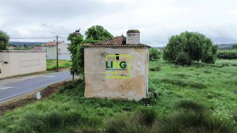 Terreno Rústico  Venda em São Miguel do Rio Torto e Rossio ao Sul do Tejo,Abrantes