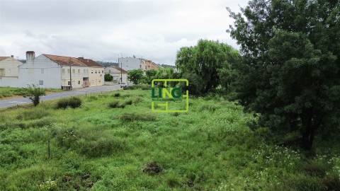 Terreno Rústico  Venda em São Miguel do Rio Torto e Rossio ao Sul do Tejo,Abrantes