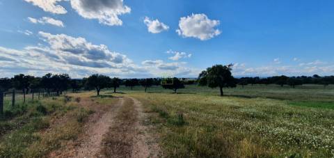 Herdade T7 Venda em Malpica do Tejo,Castelo Branco