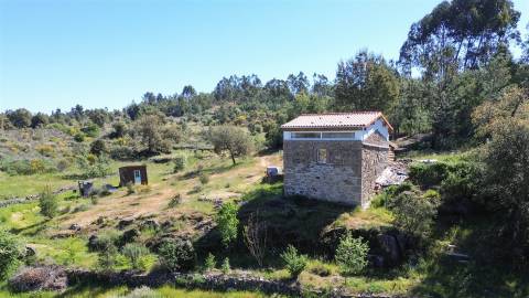 Quinta com moradia pronta a habitar para venda, 1HA – Cafede, Castelo Branco