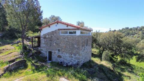 Quinta com moradia pronta a habitar para venda, 1HA – Cafede, Castelo Branco