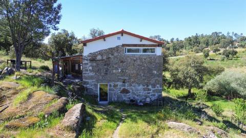 Quinta com moradia pronta a habitar para venda, 1HA – Cafede, Castelo Branco