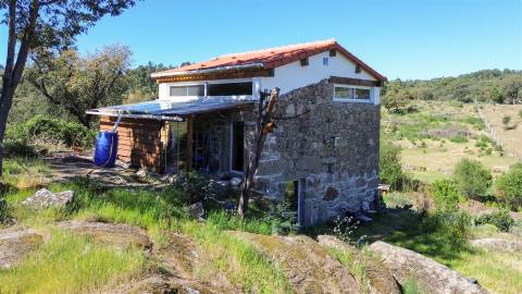 Quinta com moradia pronta a habitar para venda, 1HA – Cafede, Castelo Branco