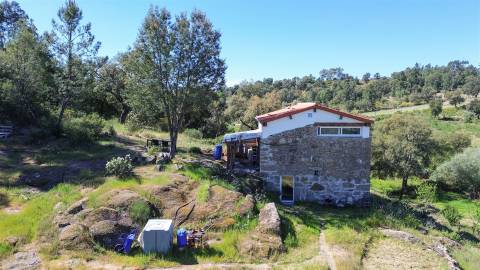 Quinta com moradia pronta a habitar para venda, 1HA – Cafede, Castelo Branco