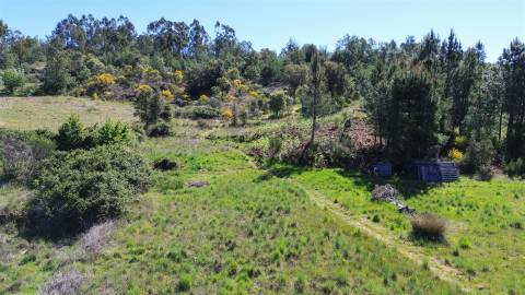 Quinta com moradia pronta a habitar para venda, 1HA – Cafede, Castelo Branco