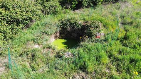 Quinta com moradia pronta a habitar para venda, 1HA – Cafede, Castelo Branco