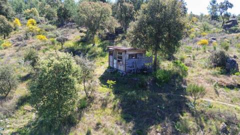 Quinta com moradia pronta a habitar para venda, 1HA – Cafede, Castelo Branco