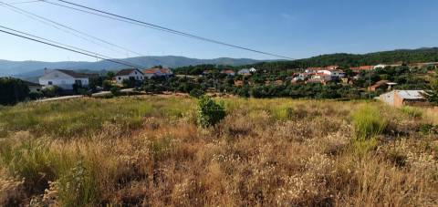Terreno  Venda em São Vicente da Beira,Castelo Branco