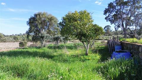 Quinta com Ruína e Água em Juncal do Campo | Castelo Branco
