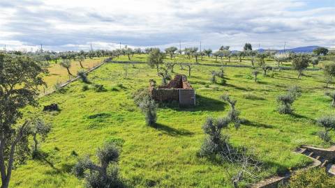 Quinta com Ruína e Água em Juncal do Campo | Castelo Branco