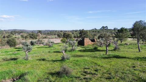 Quinta com Ruína e Água em Juncal do Campo | Castelo Branco