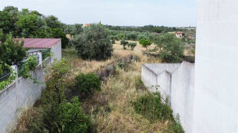 Lote de Terreno  Venda em Castelo Branco,Castelo Branco