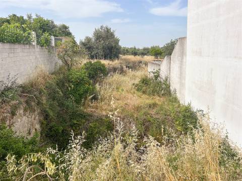 Lote de Terreno  Venda em Castelo Branco,Castelo Branco