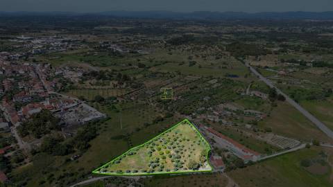 Quinta com 9250m2, localizado em Alcains.