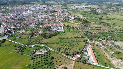 Quinta com 9250m2, localizado em Alcains.