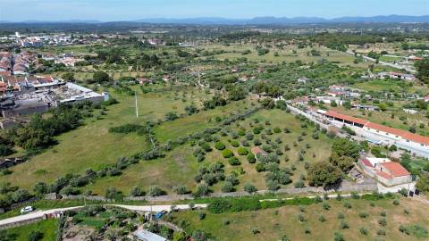 Quinta com 9250m2, localizado em Alcains.
