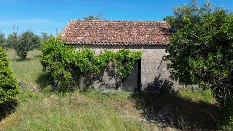 Quinta com 9250m2, localizado em Alcains.