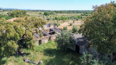 Quinta com 9250m2, localizado em Alcains.