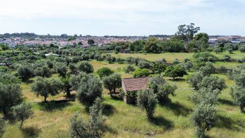 Quinta com 9250m2, localizado em Alcains.