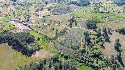 Terreno Rústico para venda com cerca de 19 200 metros na aldeia do Catrão, Vale Prazeres, Fundão