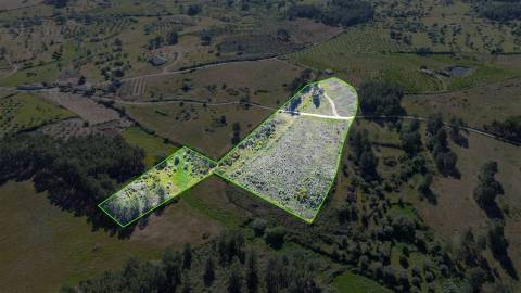 Terreno Rústico para venda com cerca de 19 200 metros na aldeia do Catrão, Vale Prazeres, Fundão