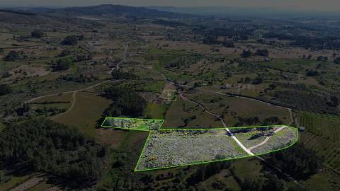 Terreno Rústico para venda com cerca de 19 200 metros na aldeia do Catrão, Vale Prazeres, Fundão