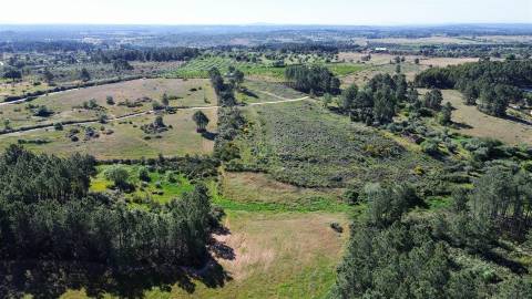 Terreno Rústico para venda com cerca de 19 200 metros na aldeia do Catrão, Vale Prazeres, Fundão