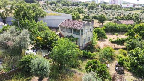 Quinta T3 Venda em Castelo Branco,Castelo Branco