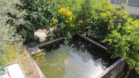 Quinta T3 Venda em Castelo Branco,Castelo Branco