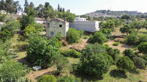 Quinta T3 Venda em Castelo Branco,Castelo Branco