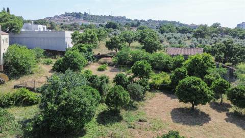 Quinta T3 Venda em Castelo Branco,Castelo Branco