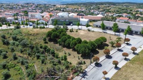 Terreno  Venda em Cebolais de Cima e Retaxo,Castelo Branco