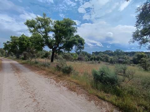 Terreno Rústico  Venda em Aldeia do Bispo, Águas e Aldeia de João Pires,Penamacor