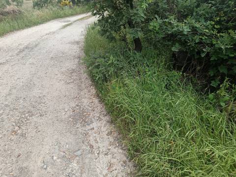 Terreno Rústico  Venda em Aldeia do Bispo, Águas e Aldeia de João Pires,Penamacor