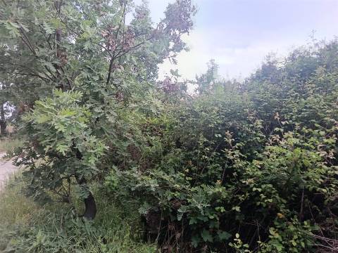 Terreno Rústico  Venda em Aldeia do Bispo, Águas e Aldeia de João Pires,Penamacor