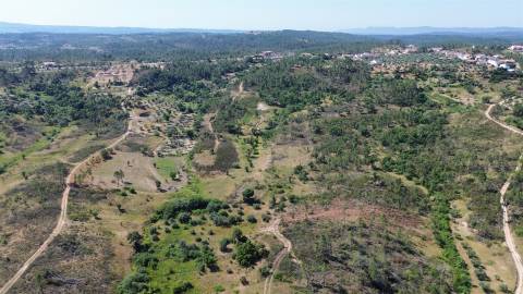 Terreno  Venda em Sarzedas,Castelo Branco